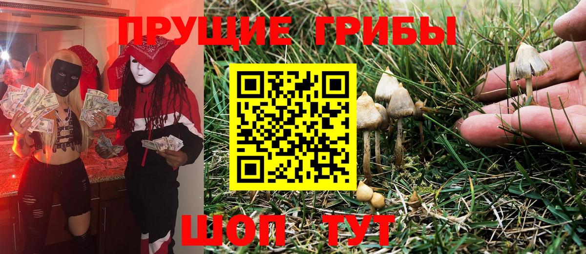 Галлюциногенные грибы Cubensis  Вход с VPN  Котлас 