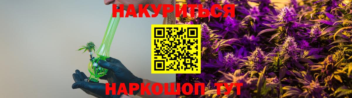 Бошки Шишки семена Котлас
